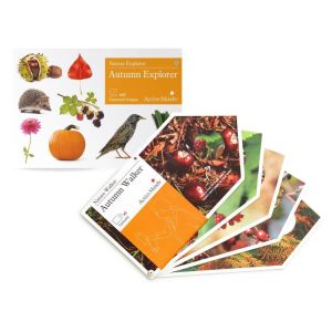 Nature Pack - Autumn