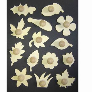 Wooden Leaf and Flower Stencils Pack of 14